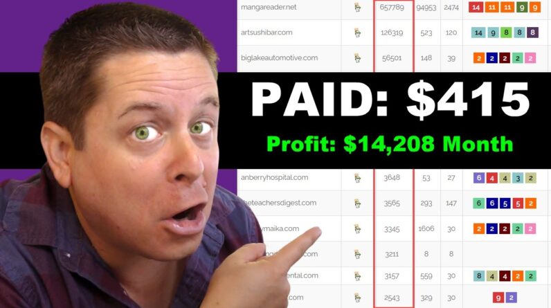 $14K A Month In 90 Days - Ai Domain Flipping Hack!